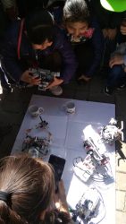 Фестиваль — учебе не помеха!