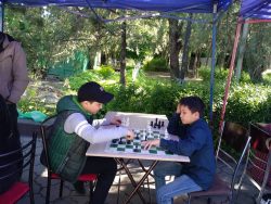 Фестиваль — учебе не помеха!