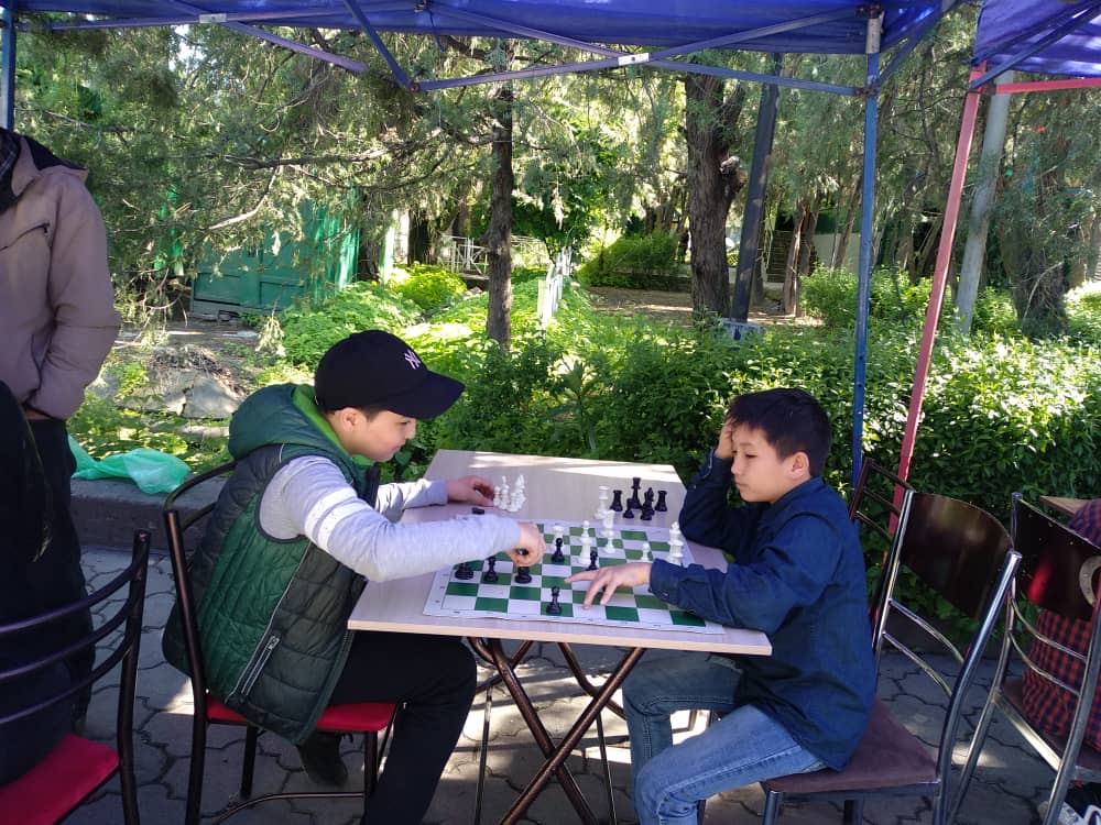 Фестиваль — учебе не помеха!